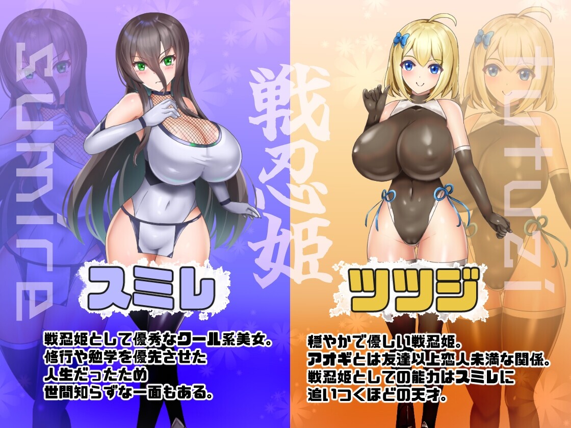 悪稼業対戦忍姫 [くぅらぁアスカ屋]